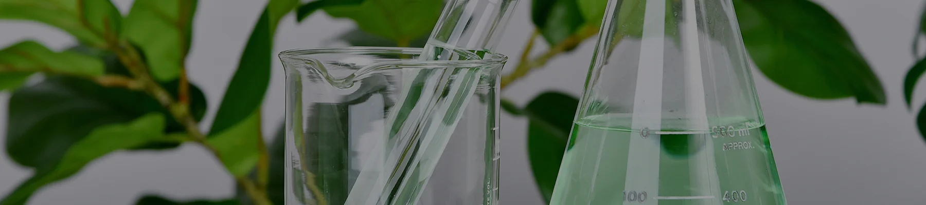 Clonoose Chemicals - Meet the Team